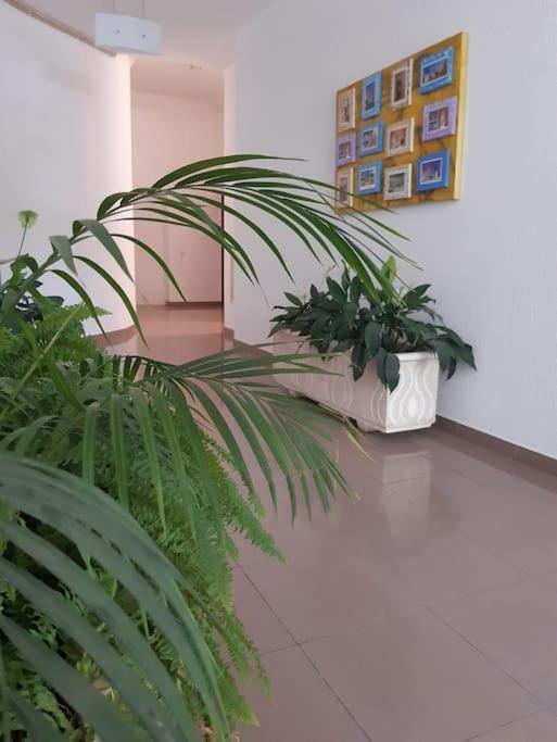 Apartamento Batalha - Quarteira, Algarve, Portugal Kültér fotó