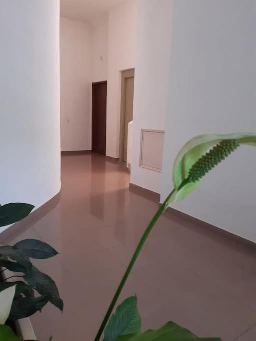 Apartamento Batalha - Quarteira, Algarve, Portugal Kültér fotó